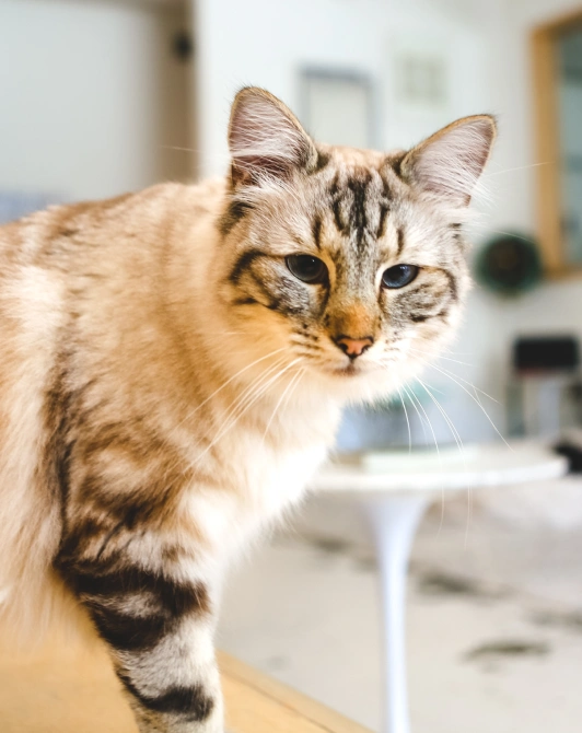 new client information what to expect during your first visit