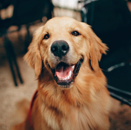 new client information what to expect at your first visit